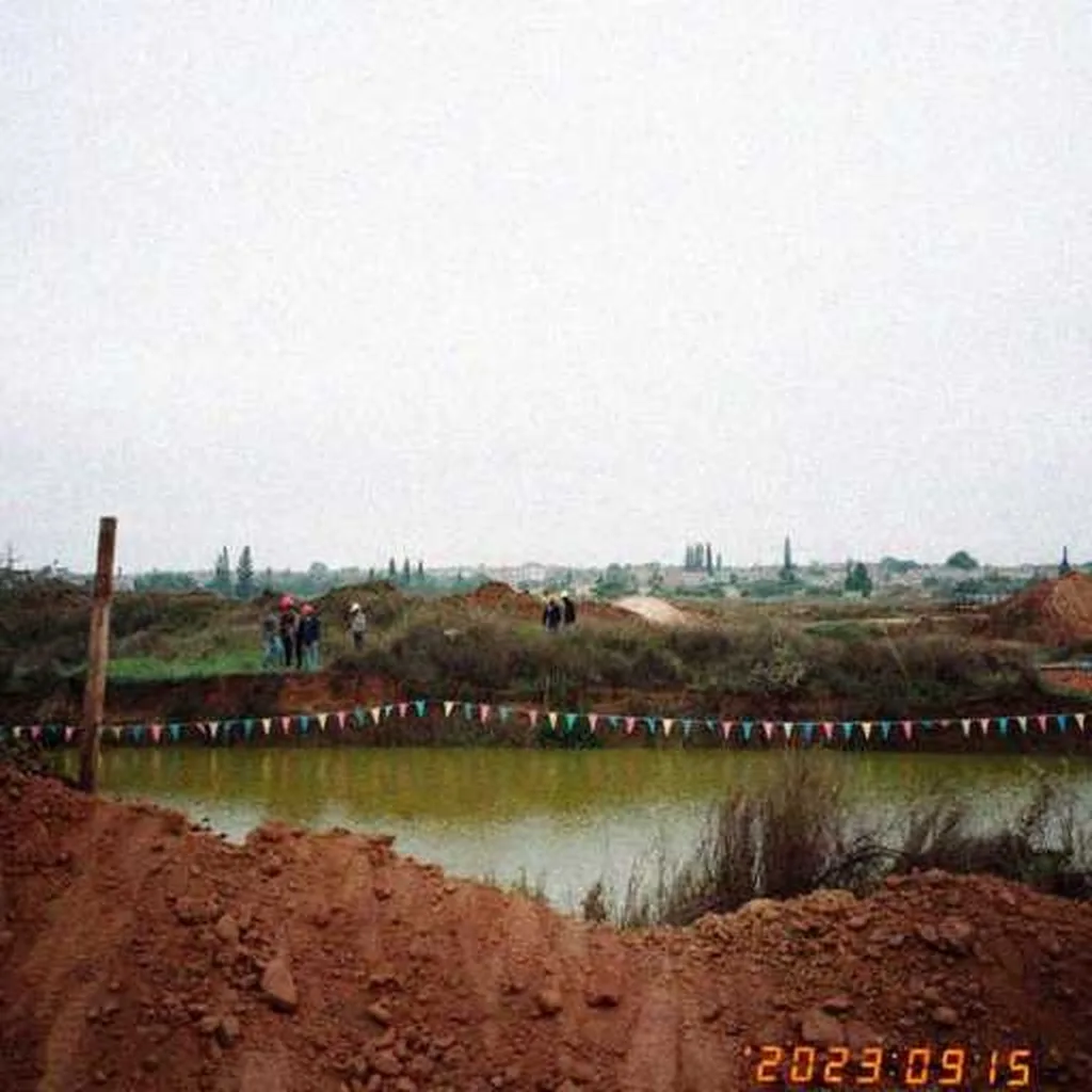 Grok Imagine + Blur/Noise/Compression