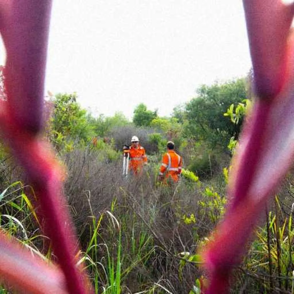 Grok Imagine + Blur/Noise/Compression