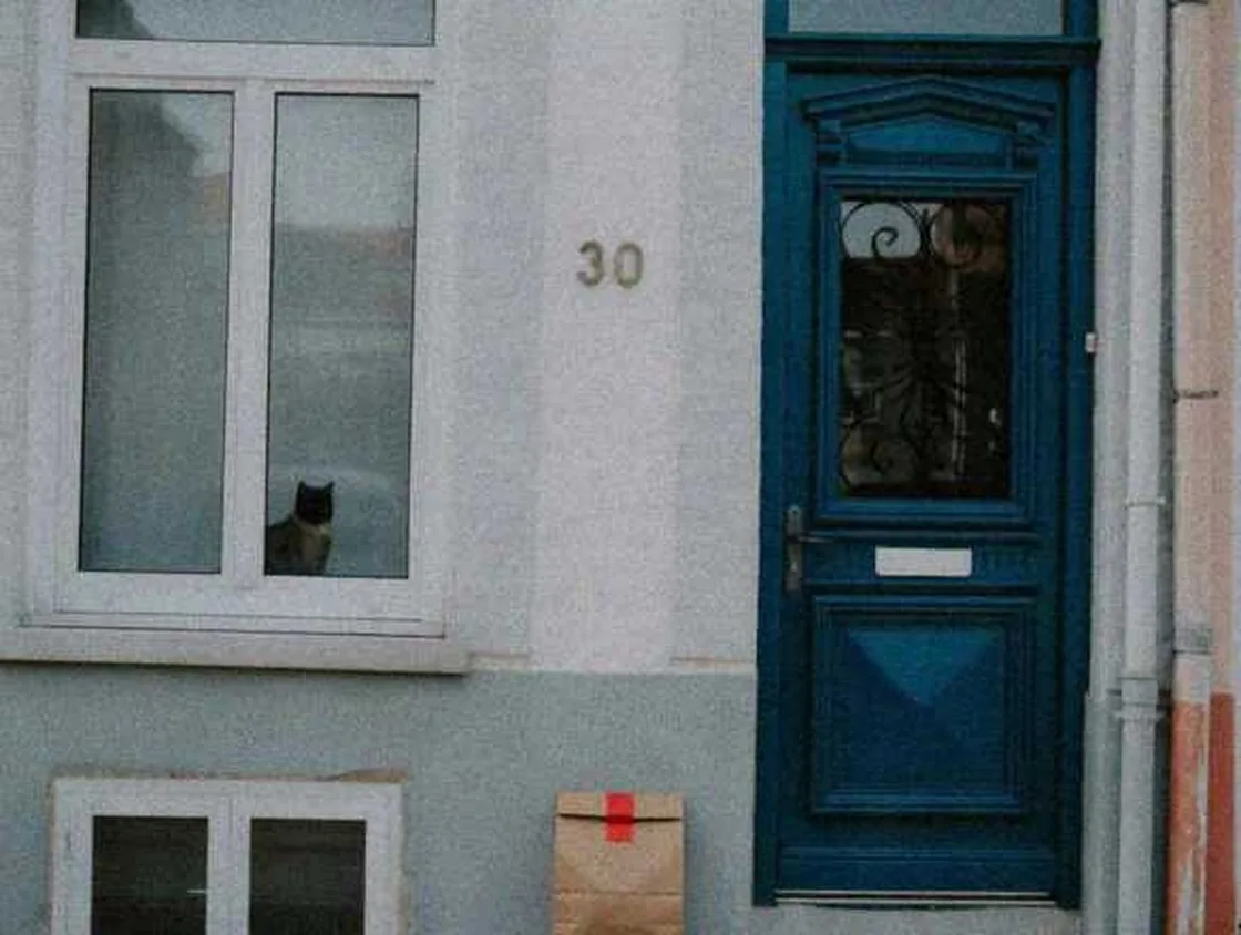 Grok Imagine + Blur/Noise/Compression