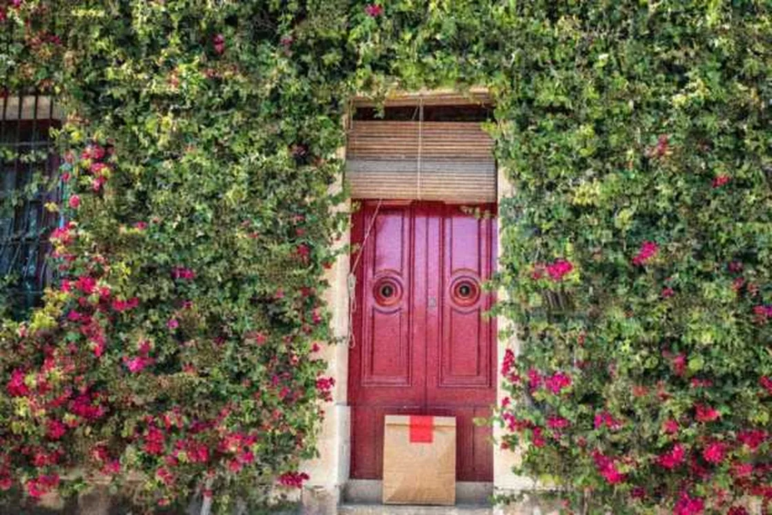 Grok Imagine + Blur/Noise/Compression