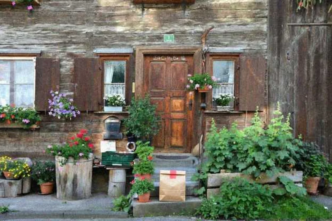 Grok Imagine + Blur/Noise/Compression