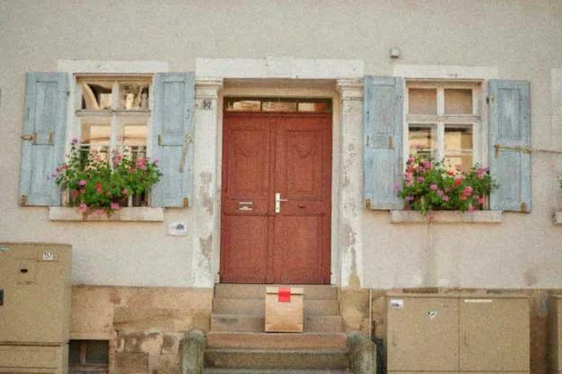 Grok Imagine + Blur/Noise/Compression