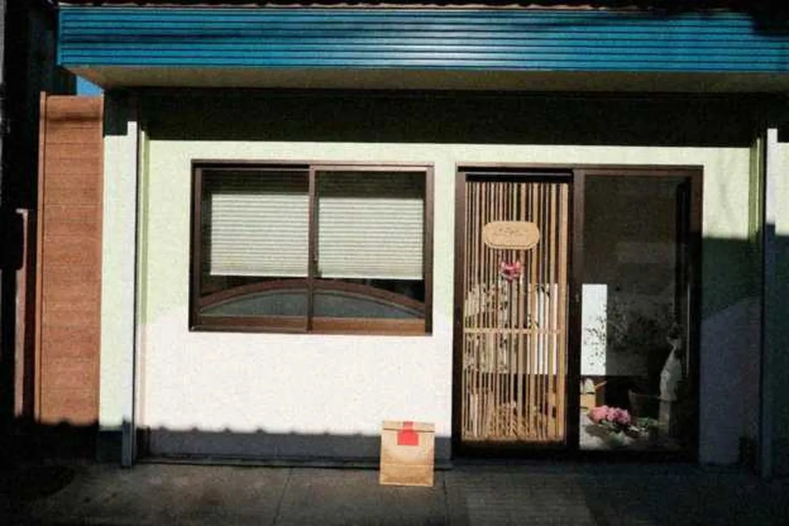 Grok Imagine + Blur/Noise/Compression