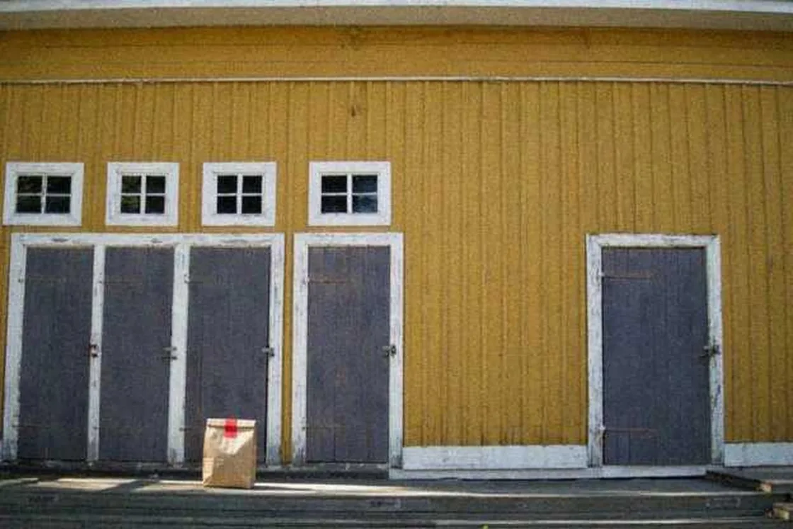 Grok Imagine + Blur/Noise/Compression