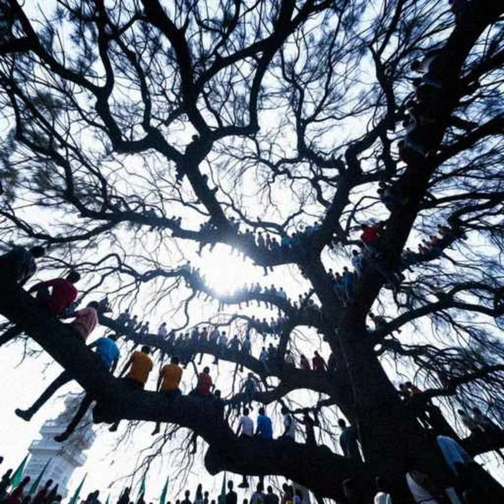 Grok Imagine + Blur/Noise/Compression