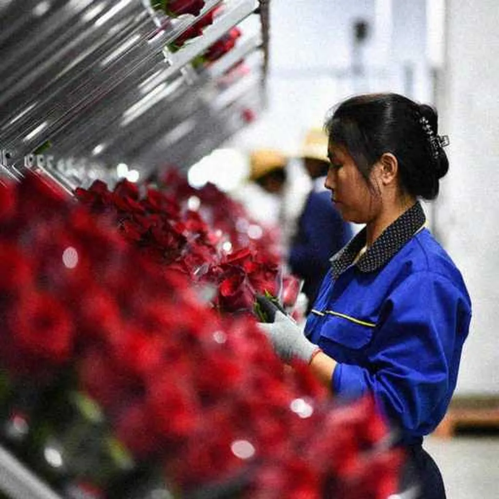 Grok Imagine + Blur/Noise/Compression