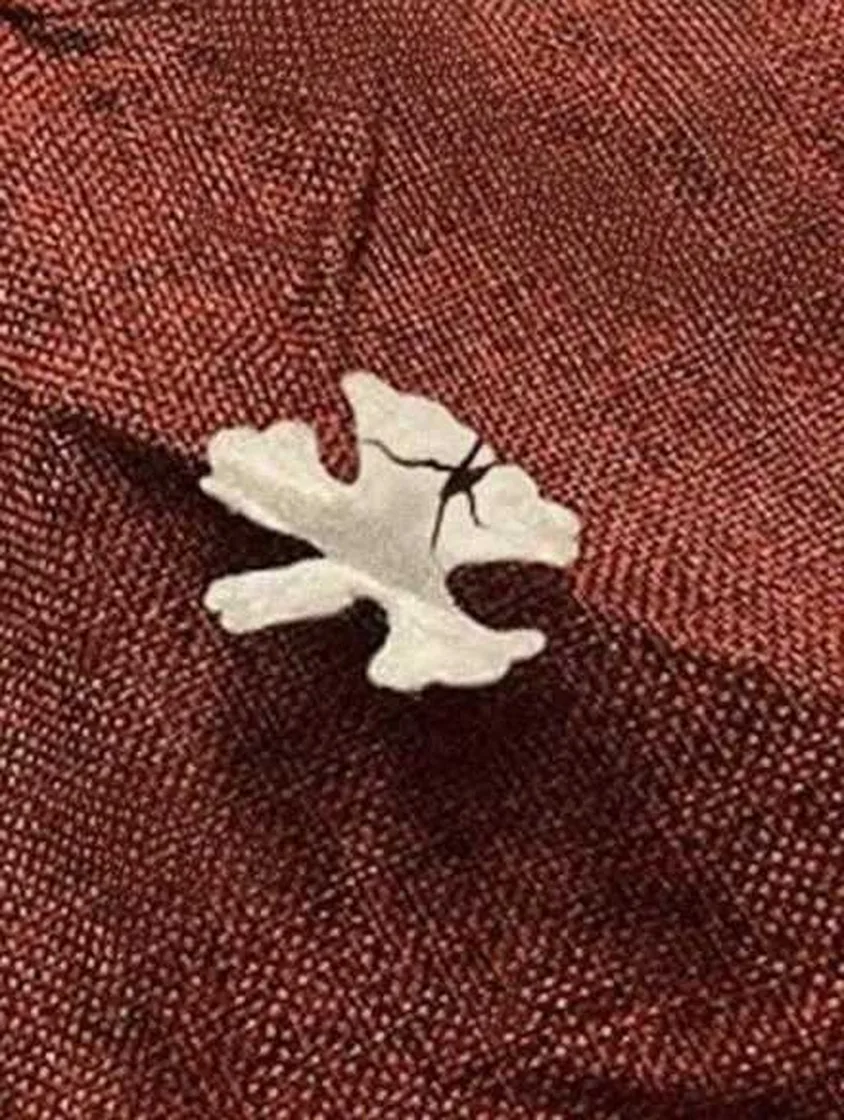 Grok Imagine + Blur/Noise/Compression