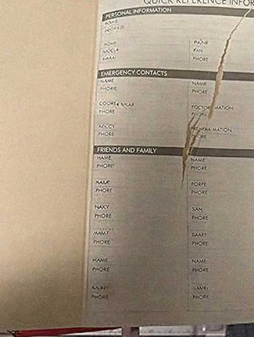 Grok Imagine + Blur/Noise/Compression