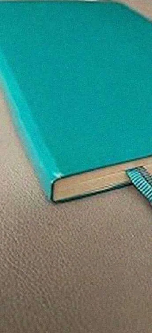 Grok Imagine + Blur/Noise/Compression