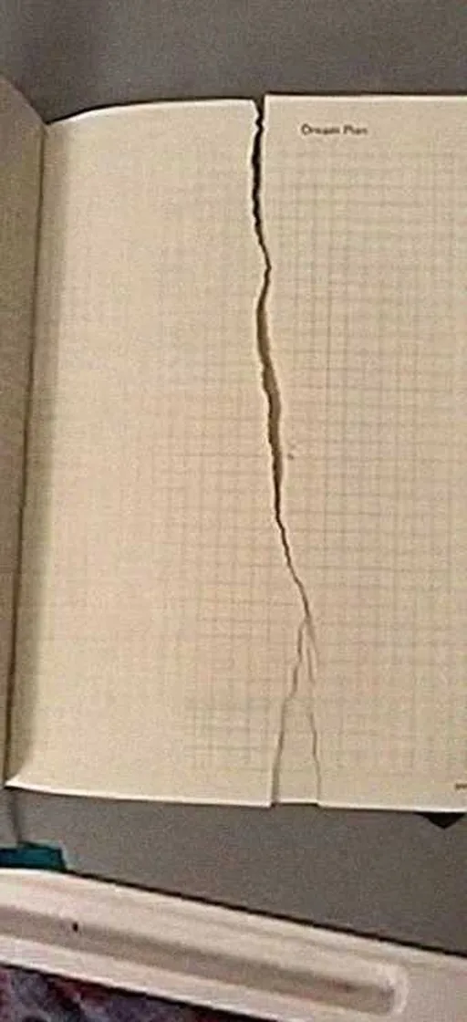 Grok Imagine + Blur/Noise/Compression