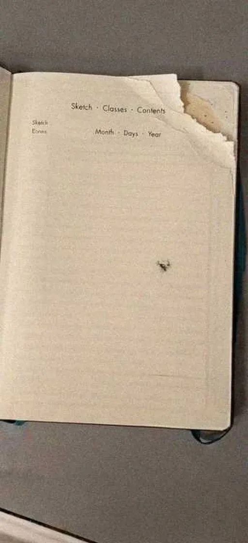 Grok Imagine + Blur/Noise/Compression