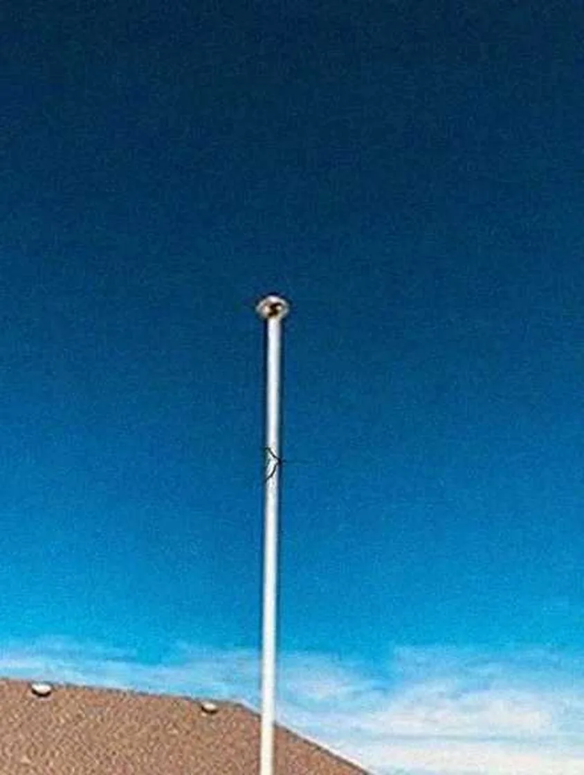 Grok Imagine + Blur/Noise/Compression