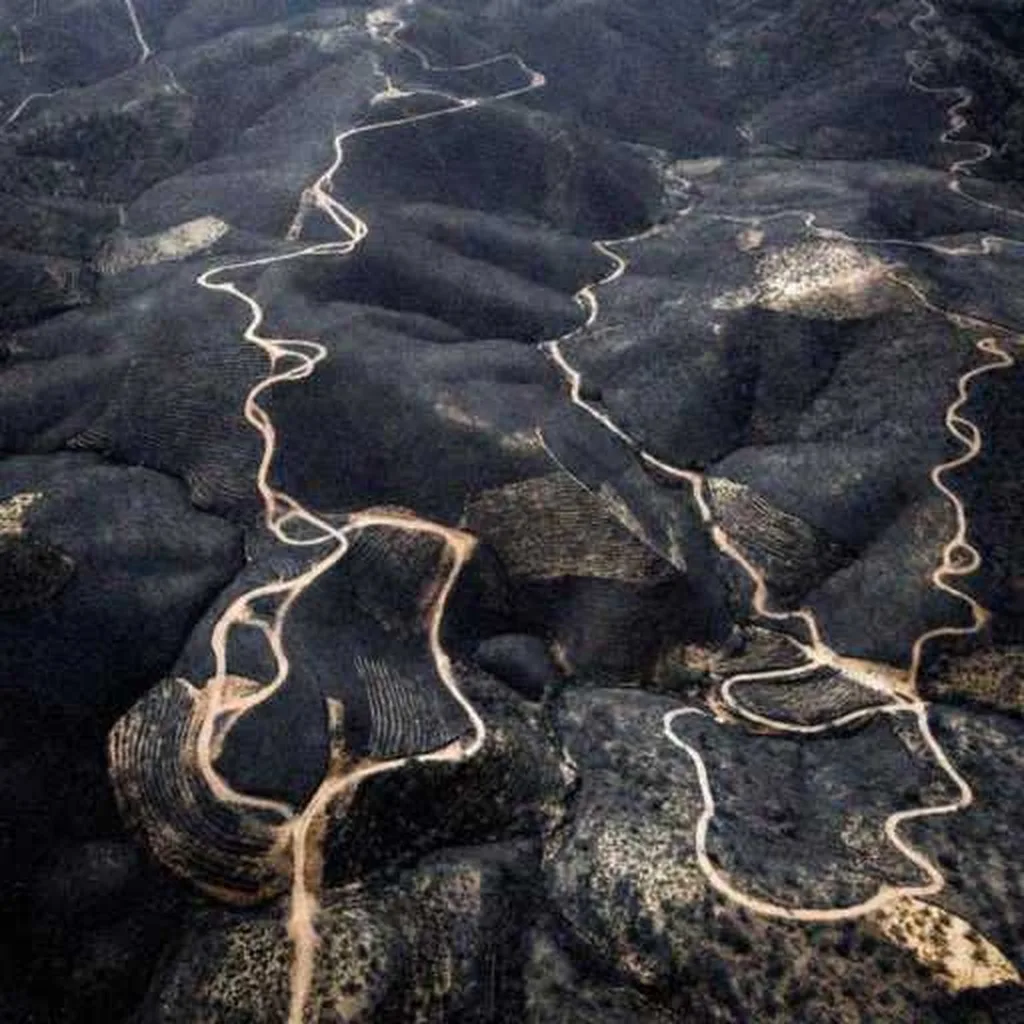 Grok Imagine + Blur/Noise/Compression